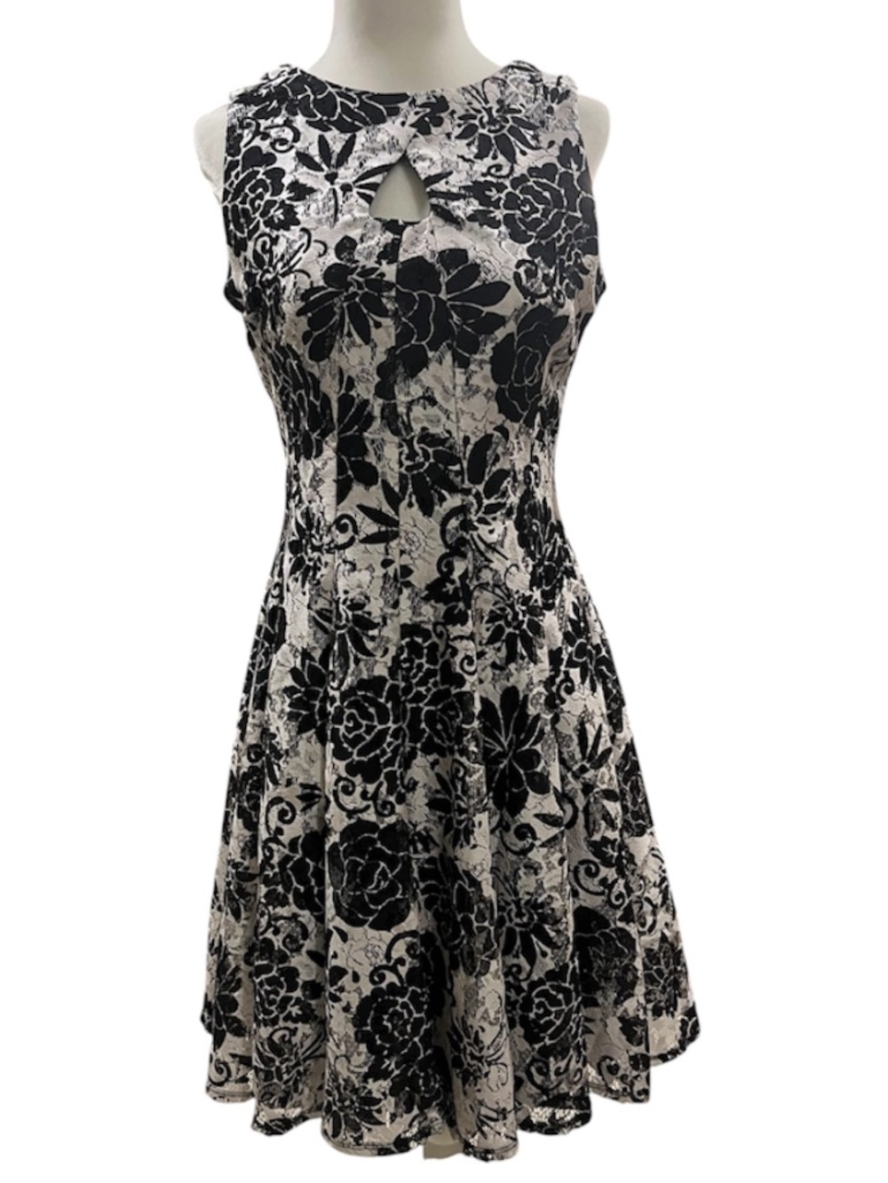 Roz & Ali Lace Fit and Flare Dress